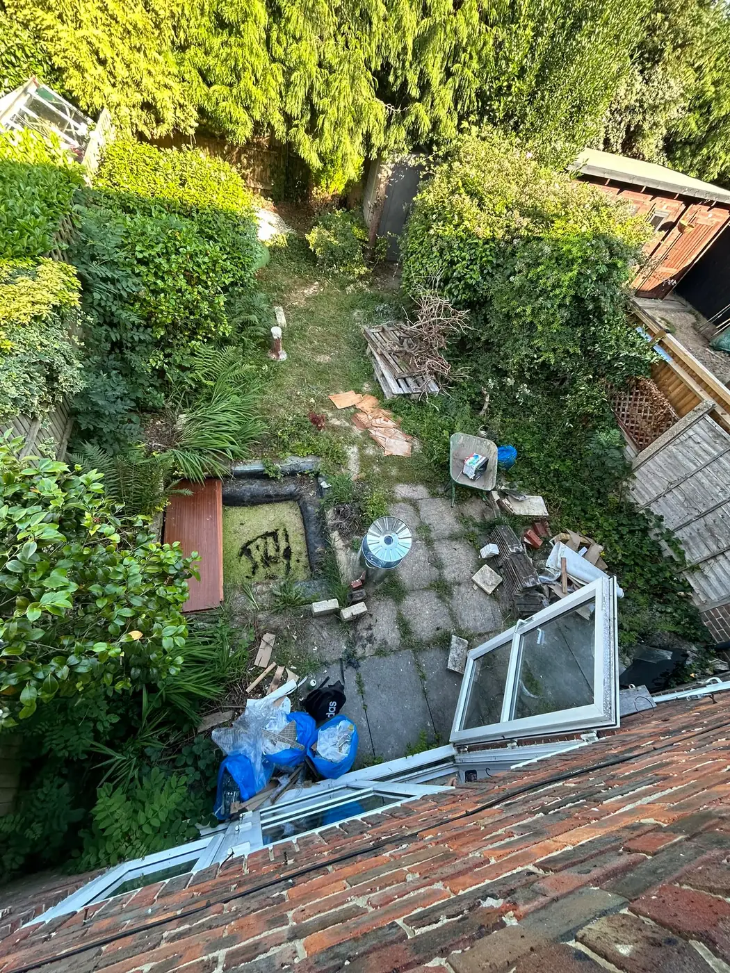 Overgrown Rhys Graves garden with old paving before clearance