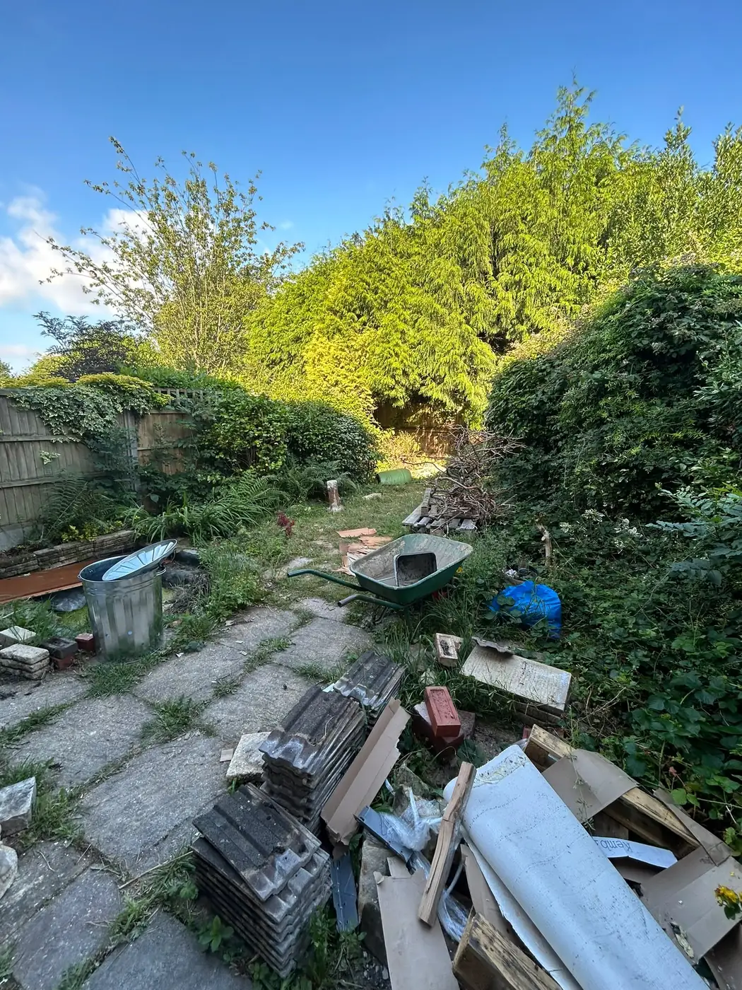 Old patio and dense planting in the Rhys Graves garden before landscaping