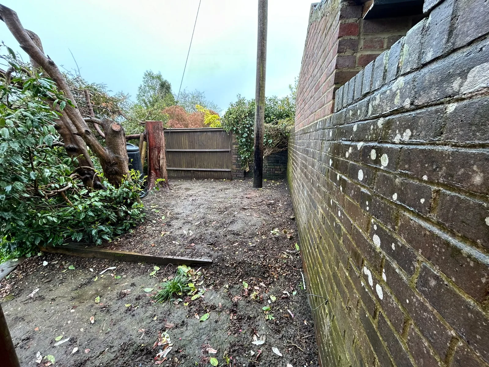 Project 1 garden landscaping photograph 1 of 9