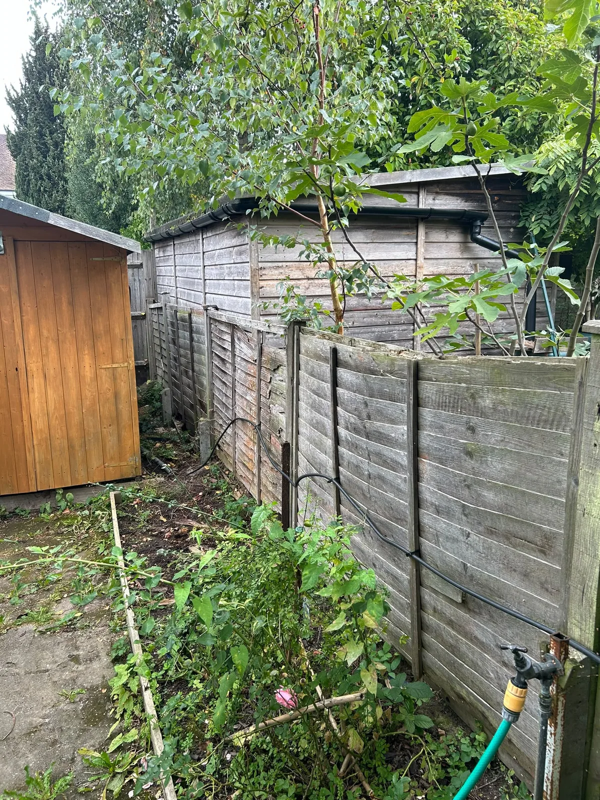 Project 12: Fence replacement photograph 1 of 6