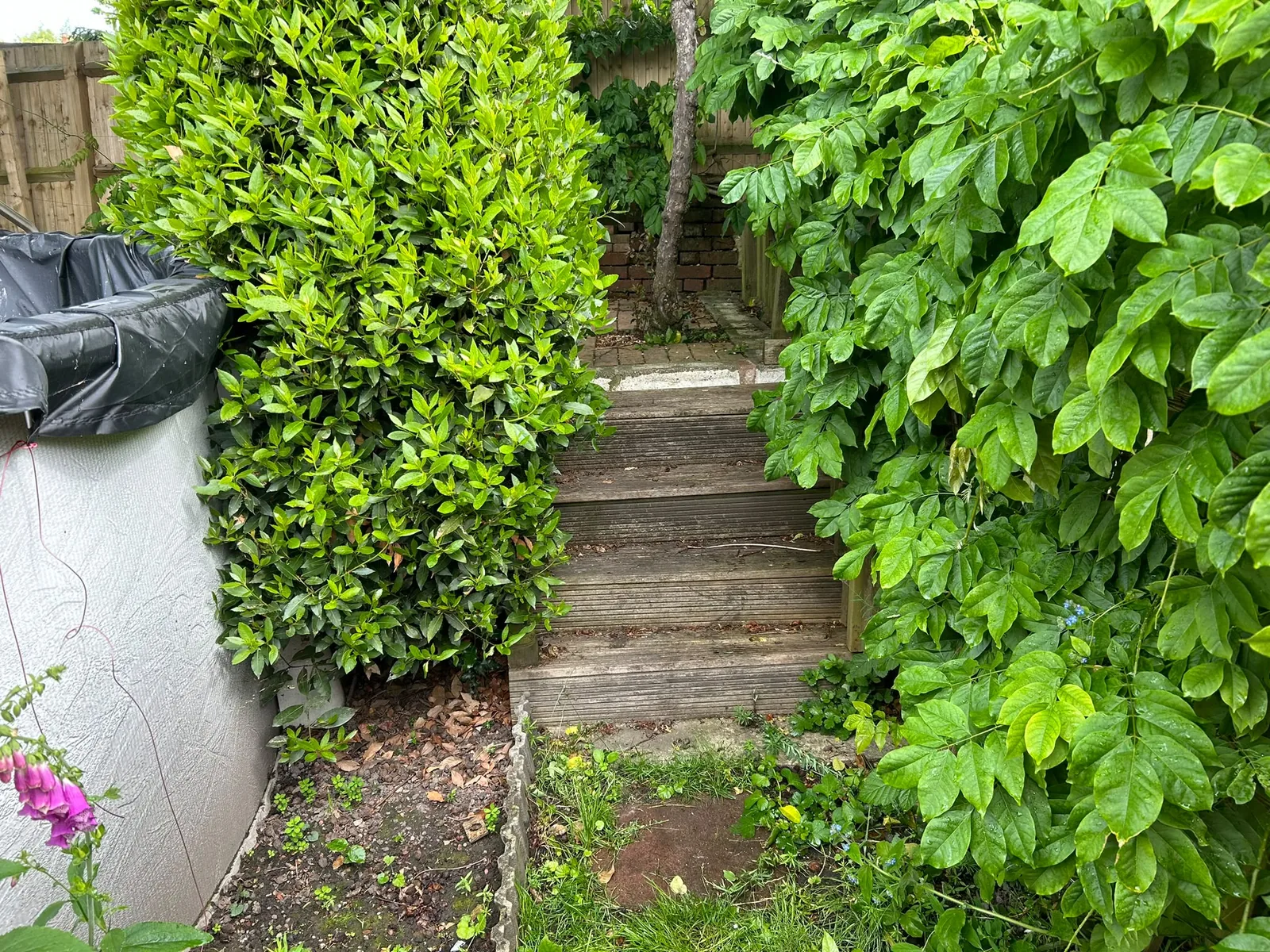 Project 2: Garden landscaping photograph 1 of 5