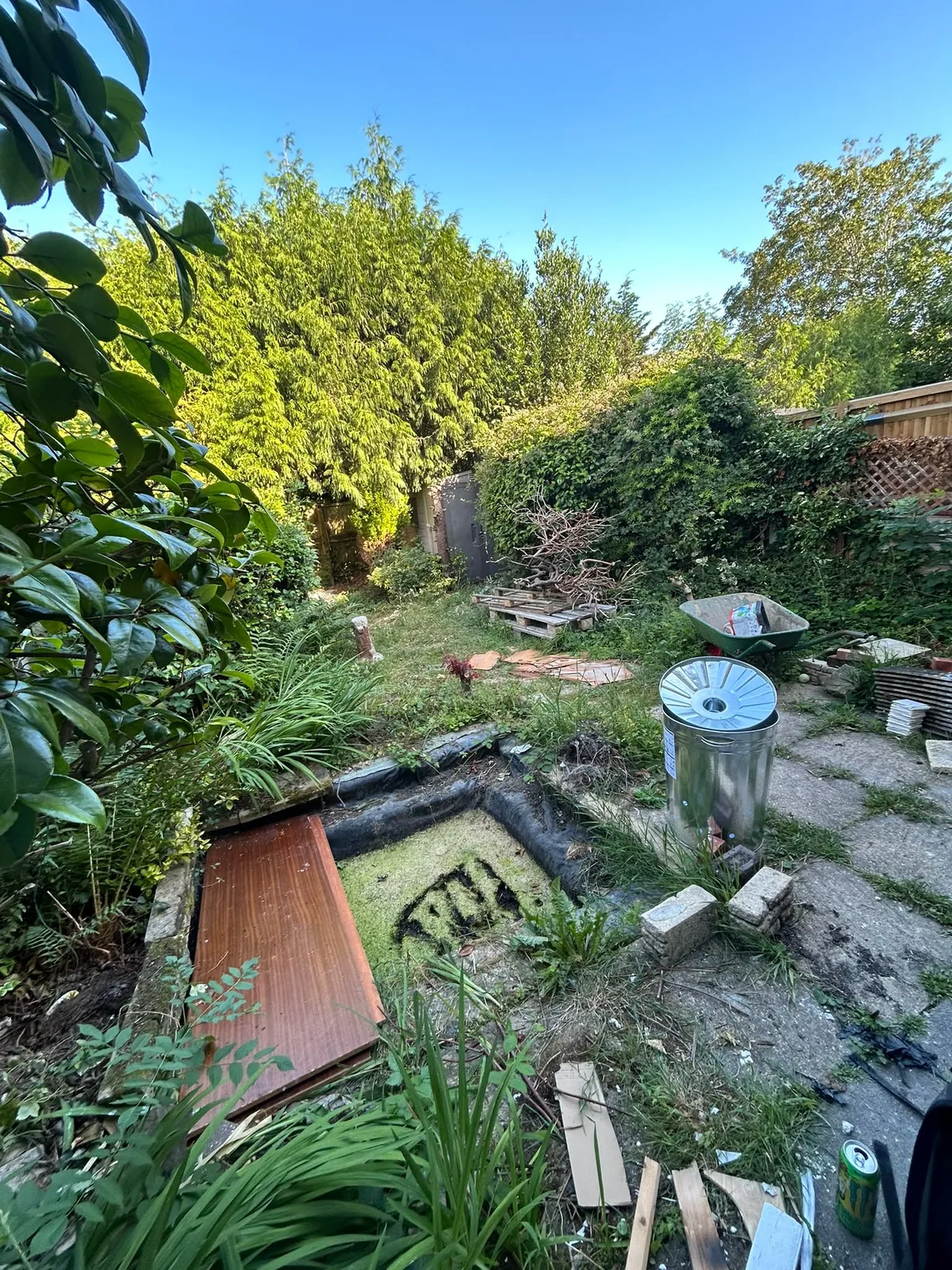 Project 8: Garden landscaping photograph 1 of 6